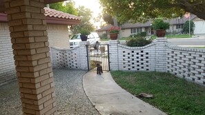 Doggie front yard enclosed