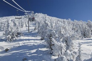 Sne- og skisport