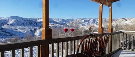 Winter view from the porch with fresh juice from the champion juicer.