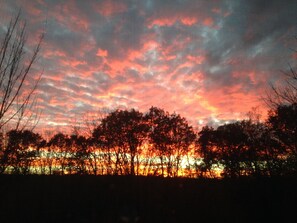 sunset from back yard