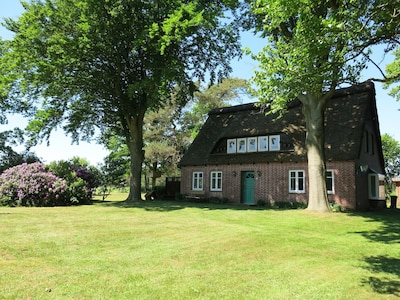 Idyllic thatched cottage in a unique natural setting