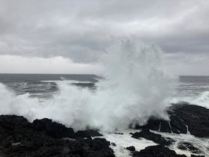 Wild waves on the Wild Pacific Trail 2 min drive away, 10min walk.