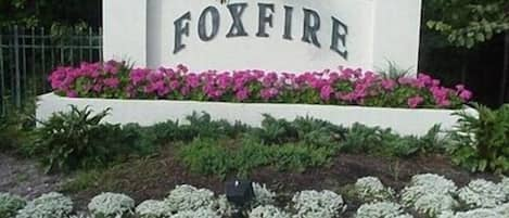 Welcome to Foxfire!