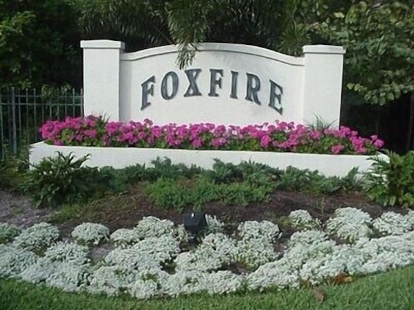 Welcome to Foxfire!