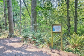 Hiking Trails Nearby