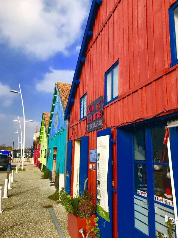 Exteriör