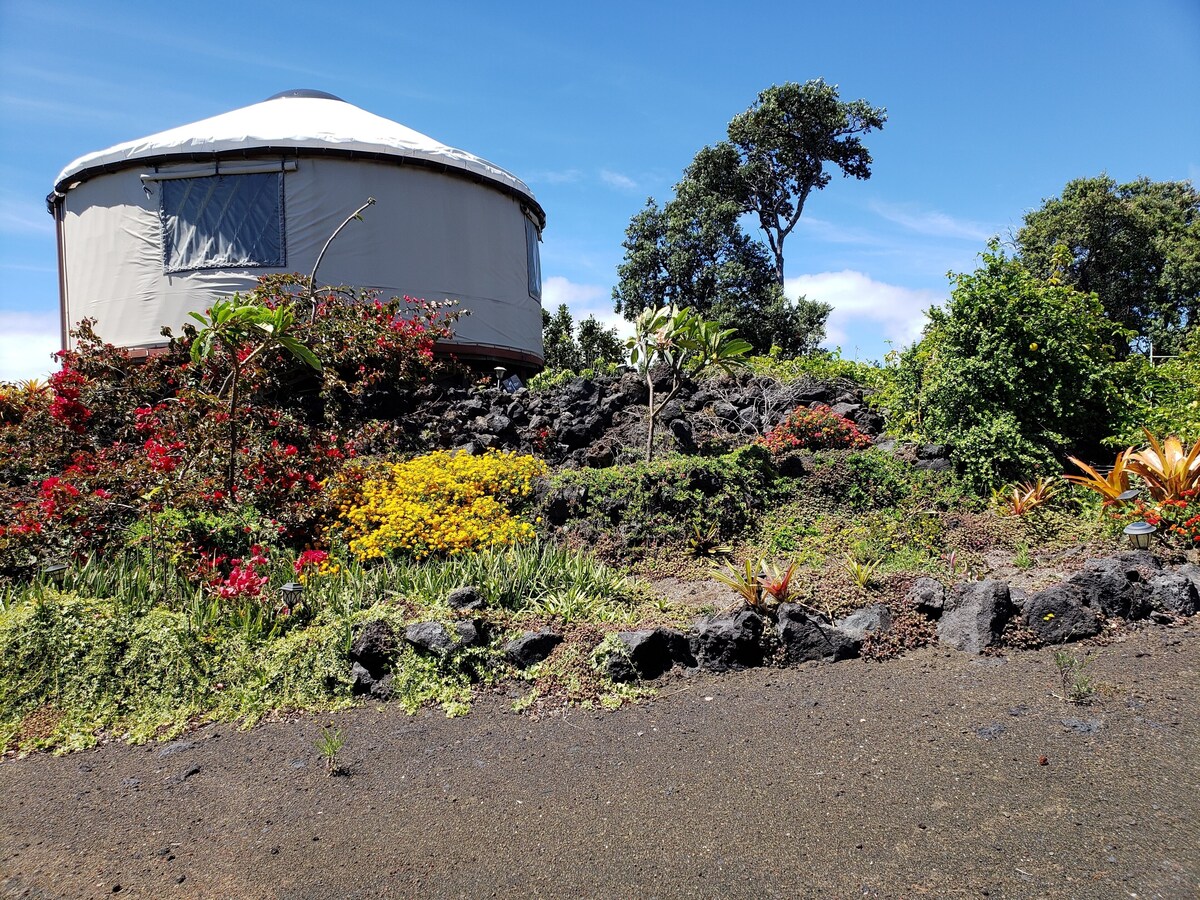 Hawaii Yurt luxury for less