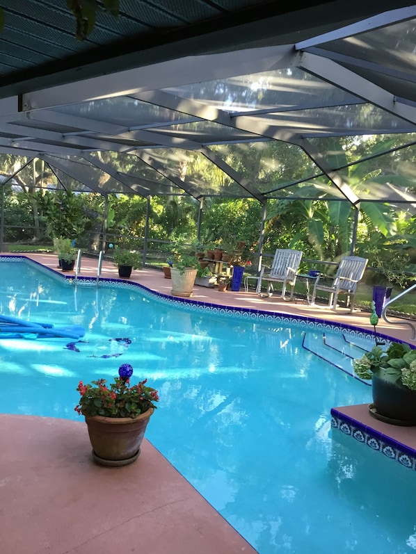 Pool with 60 foot lap lane and rockers 
Very tropical