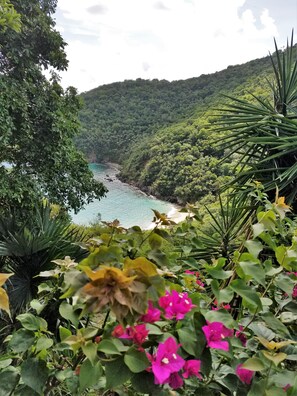 Área da propriedade