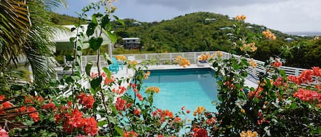 LARGEST PRIVATE POOL ON ST JOHN