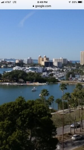 View from Selby Gardens bayfront view, three blocks west of Villa Jasmine