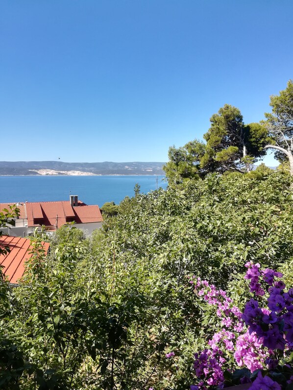 Blick von der Unterkunft