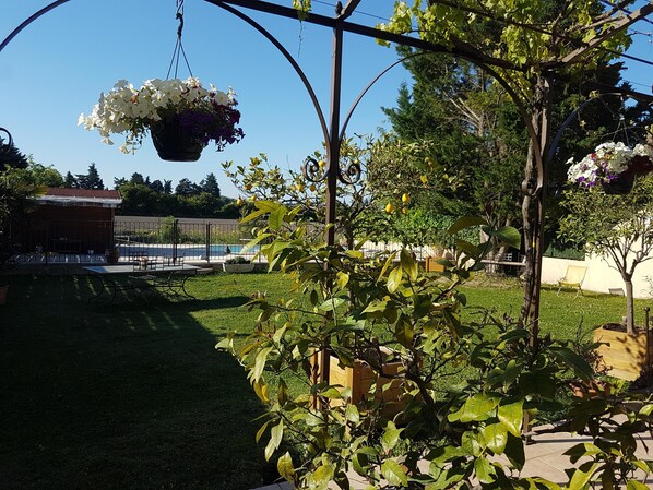 terrasse vue sur le jardin et la piscine