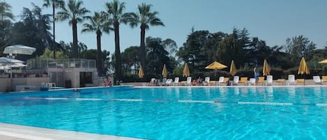 Piscine olympique du domaine