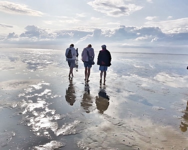 moderne Ferienwohnung direkt am Nordseedeich  mit Strandkorb 