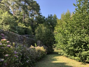 Parco della struttura