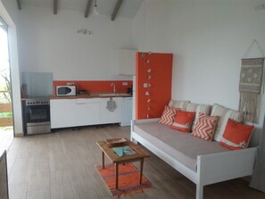 la pièce de vie : cuisine équipée, salon (couchage supplémentaire), TV, WIFI.