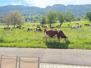 Verschiedenes