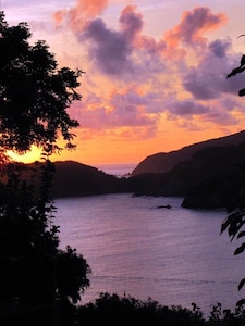 Bungalow de artista tropical con vistas panorámicas al mar y la bahía.