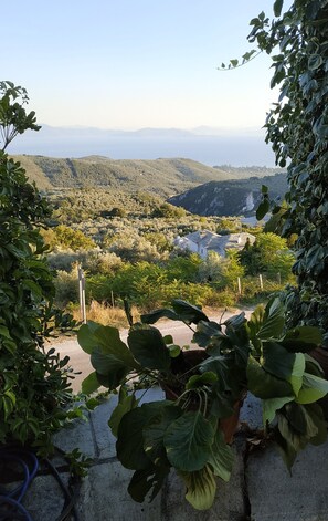 Another View from the House