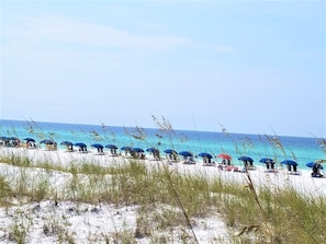 Beach Chair Rental-Restaurant-Restrooms  "Crap Trap"