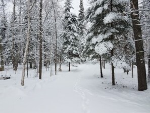Sne- og skisport