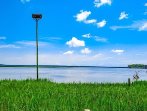 Looking out at Crooked River and the Osprey Nest