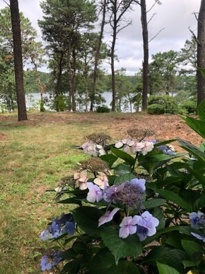 Photo from property overlooking white pond