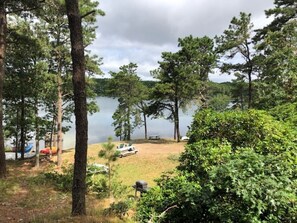 View of white pond