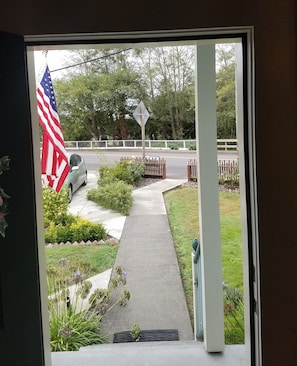 view from front door: flag, front walk