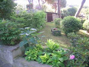 Giardino