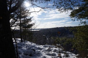View from hiking trail behind Oakview, overlooking Halls Lake to West.