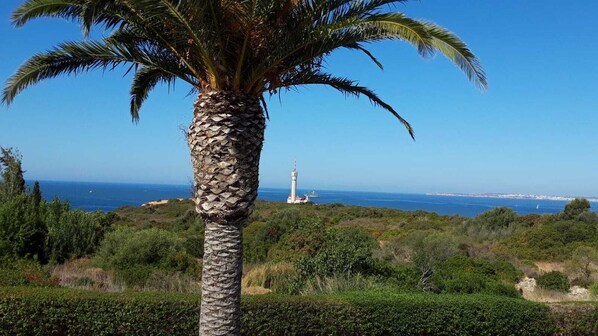 Ausblick von der Terrasse oben