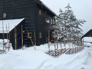 Exteriör
