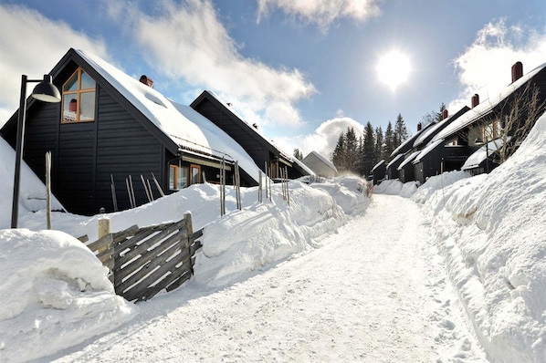 Exteriör