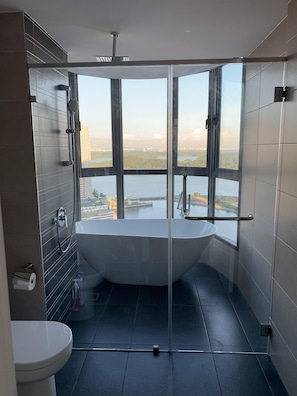 Master bathroom with bath tub and rain shower. Bird eye sea view. 
