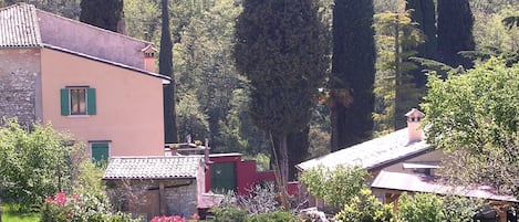 vista della casa e di parte del giardino, dietro le siepi la piscina