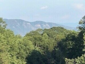 Mountain View from property 