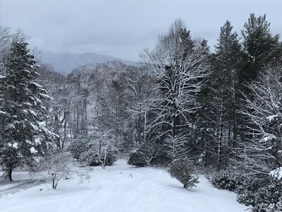 Entire Guest Suite in Haus Edelweiss on the Blue Ridge Parkway