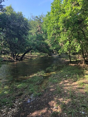 Small creek in greenbelt that leads from backyard-full during rainy season. 