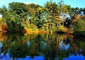 nature sets us apart, Sanctuary of the Swan in Birdsboro PA