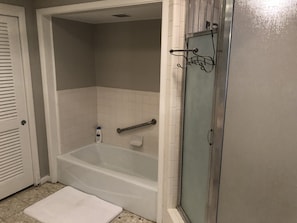 Master Bathroom tub and shower