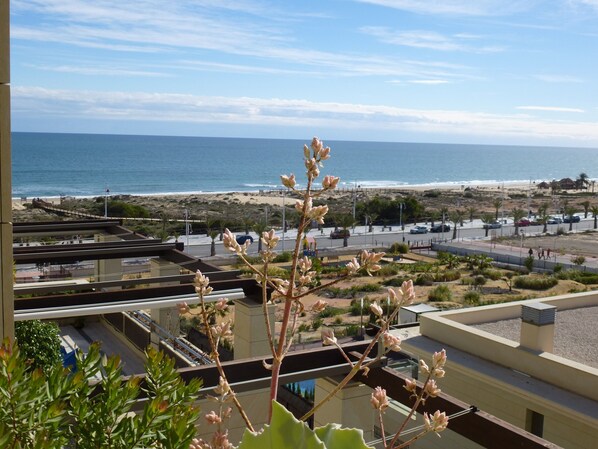 Beach/ocean view