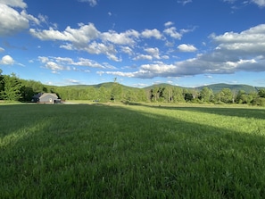 15 Acres of level land for you,your family & pet to roam around and enjoy nature