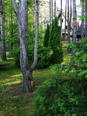 Parco della struttura