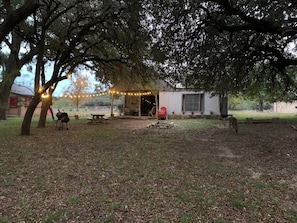 Large yard for outdoor fun! Note the visitor!