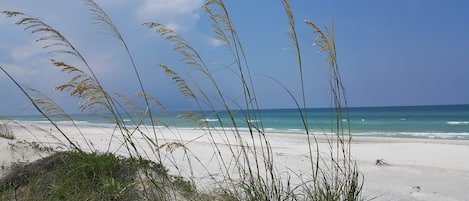 Sugar White Sands on Cape San Blas
