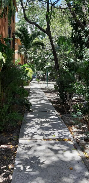 ENTRANCE TO THE DEPARTMENT