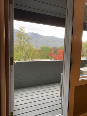 Deck off the dining area with retractable screen door