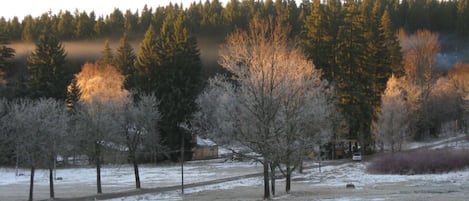 Sneeuw- en skisporten